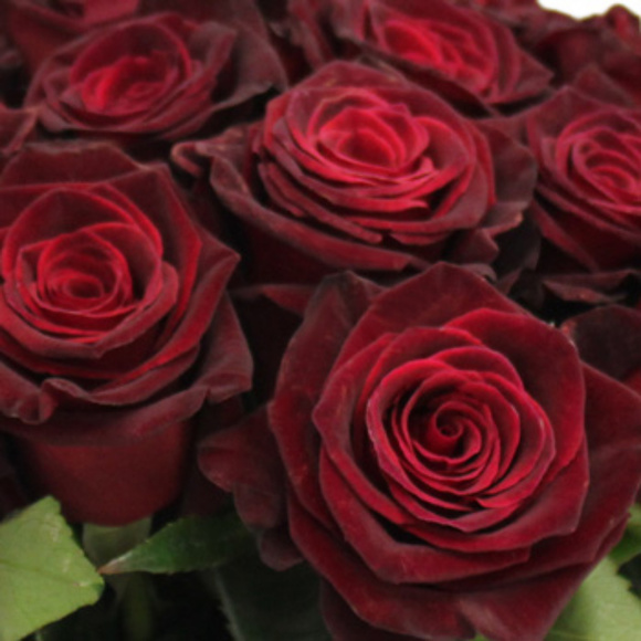 Meet your Posher, Sarah - Picture 1 of 1